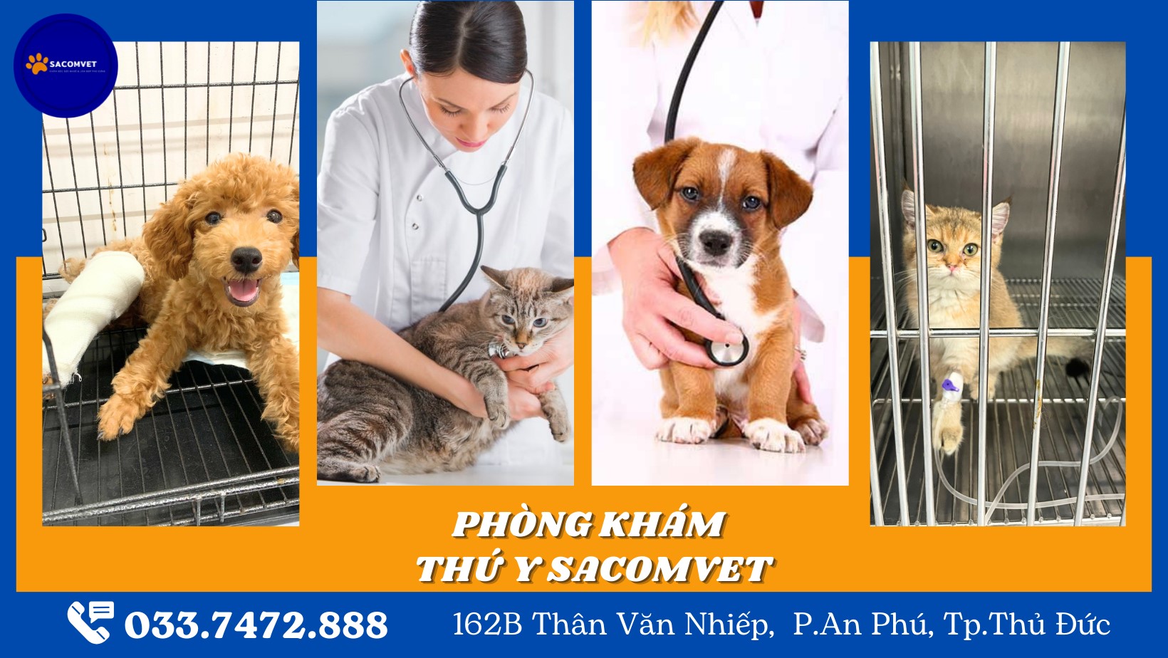 phòng khám phẫu thuật thú cưng quận 2