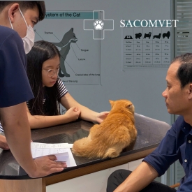 Phòng khám thú y gần đây, phòng khám thú y SACOMVET