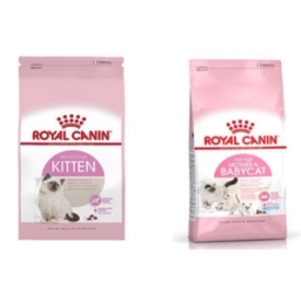 Hạt cho mèo Royal Canin