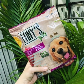 Hạt  Tony Dog Adult