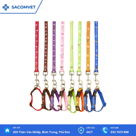 Dây dắt thú cưng kèm vòng cổ