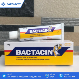 Kem bôi vết thương Bactacin