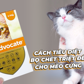 Thuốc nhỏ gáy Advocate trị nội - ngoại kí sinh cho mèo