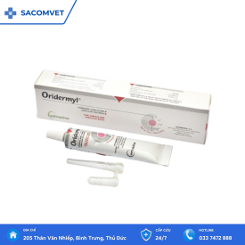 thuốc trị rận tai chó mèo Oridermyl Tuýp 10gr
