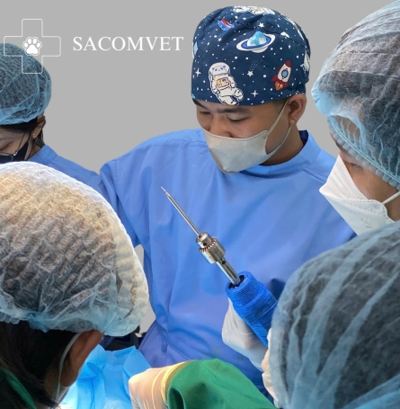 SACOMVET