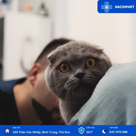 DỊCH VỤ XÉT NGHIỆM SINH HÓA Ở THÚ CƯNG 