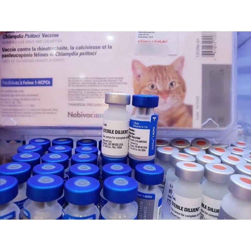 VACXIN 7 BỆNH CHO MÈO GIÁ BAO NHIÊU