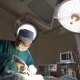 Tại sao phải triệt sản chó cái ? Lợi Ích, Rủi Ro và Những Điều Chủ Nuôi Cần Biết