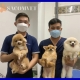 Phòng khám thú y Sacomvet: Nơi chăm sóc sức khỏe toàn diện cho thú cưng của bạn