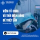 Viêm tử cung ở chó: Dấu hiệu & cách chữa tại SACOMVET Quận 2