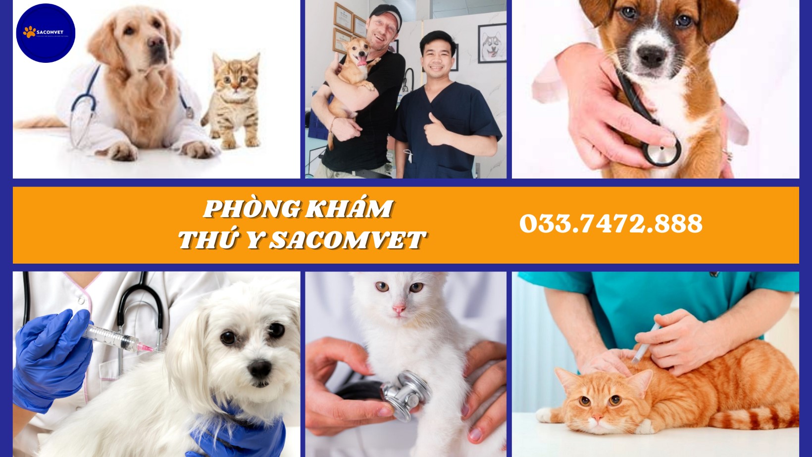 phòng khám thú y 24/24 uy tín Thủ Đức