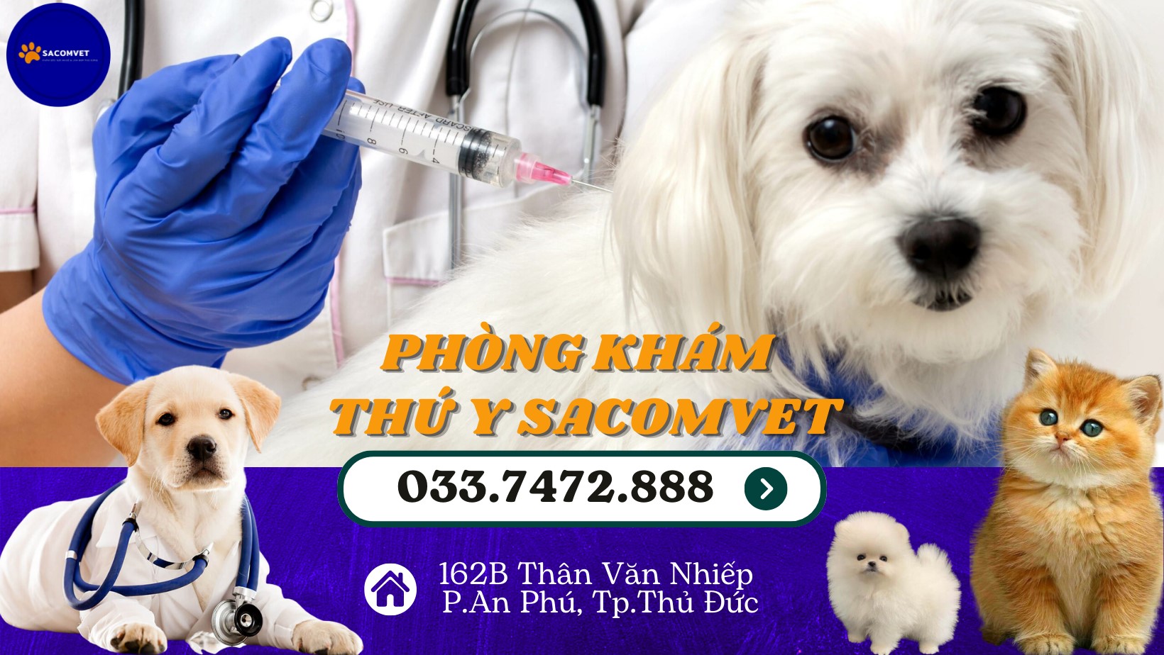 phòng khám thú y 24/24 tại TPHCM